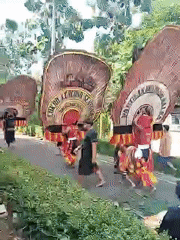 Cultural procession with elaborate costumes moves through Mojogedang streets