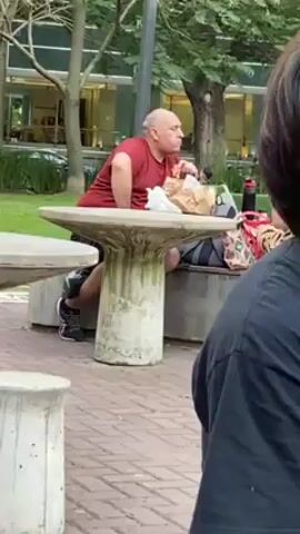 The video shows a man eating at a concrete picnic table in a park. The man is bald and wearing a maroon shirt and black shorts with black and gray sneakers. He is sitting on the bench attached to the table and eating something from a paper bag. Behind him, there is a backpack and some bags. In the foreground, another person wearing a black t-shirt is partially visible with their back to the camera. The park has trees and grass, and there is a building in the background. The picnic table is on a brick-paved area.