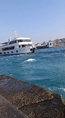 Istanbul ferries navigate the Bosphorus on a sunny morning