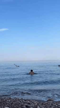 Snorkeling and calm waters at Bar's pebble beach, Montenegro