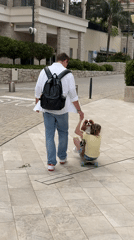 Family day trip with dog documented across Montenegro Bay