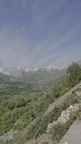 The camera films a mountain range on a partly cloudy day. The lower elevations are covered in green forest, while the peaks are capped with snow. The perspective is from a hillside covered in foliage. The camera slowly pans left.