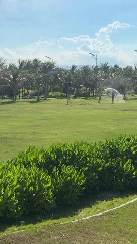 The video shows a grassy area with palm trees in the background. Three people are present in the scene. Two individuals appear to be watering the grass with hoses, creating a misting effect. The third person is standing further away, observing. The sky is blue with some fluffy white clouds. The overall setting suggests an outdoor park or resort area.