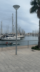 Morning rowing practice captured at Alicante marina