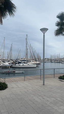 Morning rowing practice captured at Alicante marina
