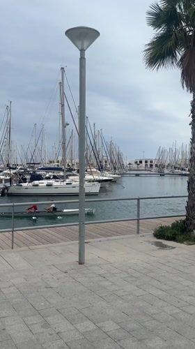 Morning rowing practice captured at Alicante marina