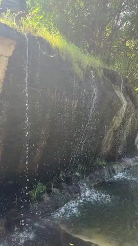 The video shows a small waterfall cascading down a large, dark rock face into a pool of water. Green grass and vegetation grow along the top and edges of the rock. Sunlight filters through trees in the background, illuminating the water droplets. The scene appears to be a natural outdoor setting.