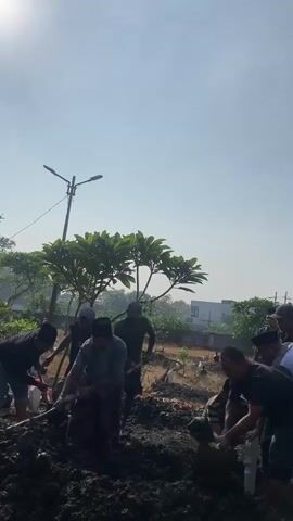 A group of men are digging in dark soil in what appears to be a field or cemetery. They are using shovels and other tools to move the soil. The sun is shining brightly and there are trees and a street lamp in the background. Some of the men are wearing hats or caps, and one is wearing a sarong.  A building is visible in the distance.