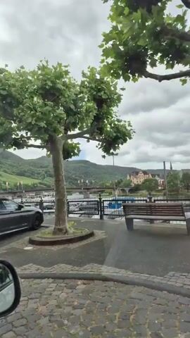 The video shows a first-person perspective from inside a moving vehicle, traveling along a street lined with parked cars and trees. The sky is overcast. In the background, hills and buildings are visible. The vehicle passes several parking signs, including one indicating "P 0.5 Std. 8-18h" and another with "TAXI" crossed out. A black BMW station wagon, a white Hyundai SUV, a silver Volkswagen Golf, and a blue Volkswagen Golf are among the parked cars seen. A small white building with a dark roof and red-framed windows is also visible.