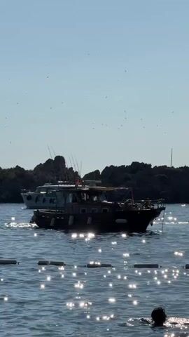 A video shows two boats on the water with a rocky coastline in the background under a clear blue sky. The foreground is the water, with some buoys visible. The first boat is a dark-colored vessel with fishing rods on top, moving from left to right across the frame. Behind it, a lighter-colored boat, possibly a yacht, is also visible. In the lower right corner, a person's head and shoulders are submerged in the water, indicating swimming. The sunlight reflects brightly off the water's surface, creating a sparkling effect. The overall scene depicts a daytime view of a coastal area with recreational boating and swimming.