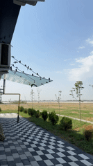 Checkered path leads to open green space in Tashkent