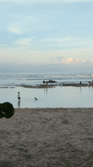 Beach scene with chairs, umbrellas, dining setup documented