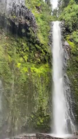 The video shows a tall, slender waterfall cascading down a moss-covered rock face into a pool at the bottom. The surrounding environment is lush with green vegetation and trees. The waterfall appears to be the focal point of the scene. The footage seems to have been captured on a misty day. No people are clearly visible in the frame.