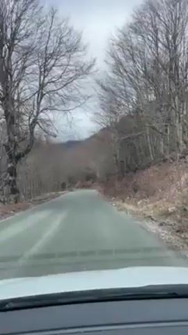 A car is driving on an empty asphalt road through a forest. The trees are leafless and there is some brown vegetation on the forest floor. The sky is cloudy and a mountain range is visible in the distance. The video is shot from the driver's perspective, looking out the windshield. The dashboard of the car is visible in the foreground.