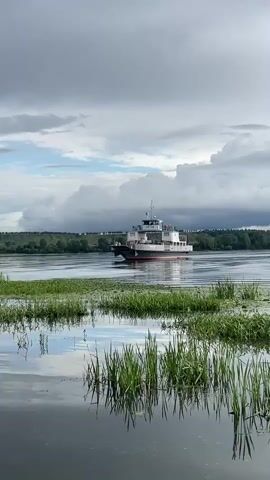 A ferry boat is traveling across a body of water. The water is calm and reflects the sky and surrounding vegetation. The sky is cloudy, with some patches of blue visible. The ferry is white with a red stripe along its side and has several levels of decks. It is moving from left to right in the frame. The foreground shows tall green grass growing in the shallow water. The background shows a distant shoreline with trees and hills. The scene is tranquil and peaceful.