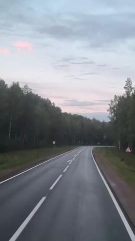 The video shows a view from a moving vehicle on a wet asphalt road that curves to the right. The road is bordered by a dense forest of green trees on both sides. The sky is overcast with clouds, and there are hints of pink and purple, suggesting either dawn or dusk. There are white lane markings on the road, and a few red road signs are visible on the left side of the road. The overall atmosphere is serene and slightly melancholic.