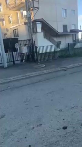 The video shows a street in what appears to be a residential area on a sunny day. The road is paved, but uneven. There are buildings on either side, varying in height and architecture, with fences lining some of the properties. A medium-sized dog with black and tan fur walks across the road. Beyond the houses, there is a view of a forested hillside.