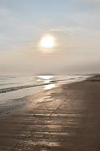 The video shows a sunny beach landscape.  The sun, high in the sky, shines brightly through a thin layer of clouds, reflecting off the wet sand and the gentle waves of the ocean. The shoreline stretches into the distance, with what appears to be land or buildings faintly visible on the horizon. There is a long, thin dark line that extends across the beach. The scene is serene and quiet, emphasizing the natural beauty of the beach environment.