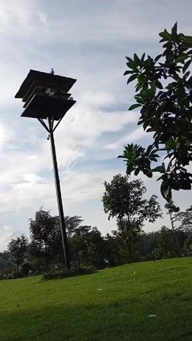 Here is a description of the video:

The video shows a tall, multi-tiered birdhouse structure standing in a park-like setting. The birdhouse is mounted on a pole, raising it high above the ground. Pigeons are perched on the top and second levels of the structure.

The ground around the birdhouse is covered in green grass, and there are trees scattered throughout the area. In the background, the sky is visible with scattered clouds, and a distant mountain range is faintly discernible on the horizon. The camera angle is from a low perspective, looking up at the birdhouse. There's no apparent camera movement. The overall scene gives a peaceful and natural impression.