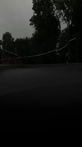 The video displays a dark, overcast sky with tall trees silhouetted against it. A thin, white line, possibly a wire or string, stretches horizontally across the frame. In the foreground, a dark, textured surface fills the bottom portion of the image, suggesting the view is from inside a vehicle or under a dark canopy. The weather appears to be rainy, with visible raindrops on what might be a window. The overall mood is somber and subdued due to the gloomy weather and limited visibility. The location context of Monastyrshchina, Russia, places this scene in a rural or semi-rural environment, possibly during the daytime given the natural light. No people are visible, and the primary objects are the trees, the wire, and the dark foreground surface. There is no visible text in the frame.