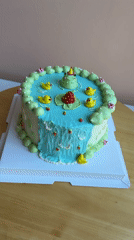 Pond-themed celebration cakes spotted in Tel Aviv