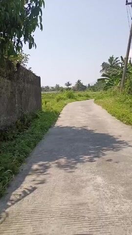 The video shows a rural road, paved in concrete with lateral grooves. The road curves gently, lined with lush green vegetation on both sides, with rice paddies and scattered trees, including palms, visible in the distance. A white building with a red roof can be seen to the right, and a motorcycle is parked nearby. The sky is clear and bright. The camera appears to be in motion, likely mounted on a vehicle traveling down the road.