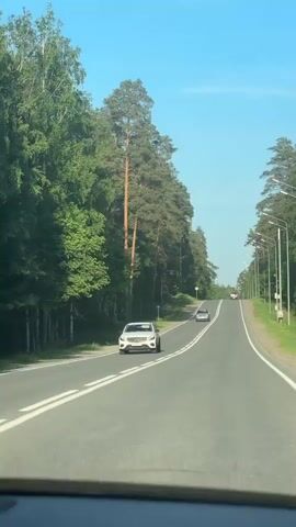A car is driving on a highway through a forest. On either side of the road are tall pine trees. The sky is blue. The road is paved and has a yellow double line down the center. Two cars are visible in the distance, one coming towards the camera and the other further down the road.  Streetlights line the right side of the road. The camera appears to be inside a moving car.  Music plays.