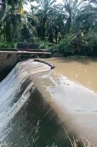 Water flows over concrete dam in Keudekrueng, Indonesia
