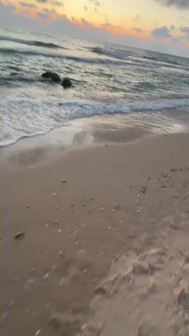 A low-angle, handheld shot shows a sandy beach with the ocean and a sunset in the background. Small shells are scattered across the sand. Gentle waves lap at the shore, creating white foam. In the distance, rocks are visible in the water, and the sky is filled with clouds tinged with orange and yellow from the setting sun. The overall mood is serene.
