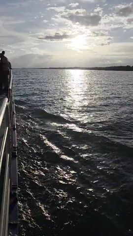 The video opens with a view from the side of a boat, looking out over choppy, dark water towards the horizon. The sun is setting, casting a bright reflection on the water's surface and illuminating a cloudy sky. The shoreline is visible in the distance as a dark, low silhouette. On the left side of the frame, the metal railing of the boat is visible, with the back of a person's head and shoulders as they stand near the railing. The boat appears to be moving, as evidenced by the wake trailing behind it.
