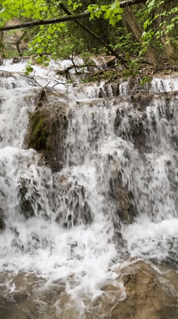 Small waterfall filmed cascading over moss-covered rocks amid green foliage