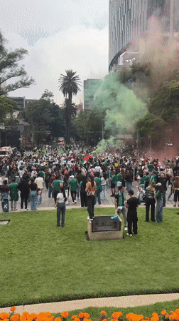 Crowds gather at Mexico City's Angel monument with flags