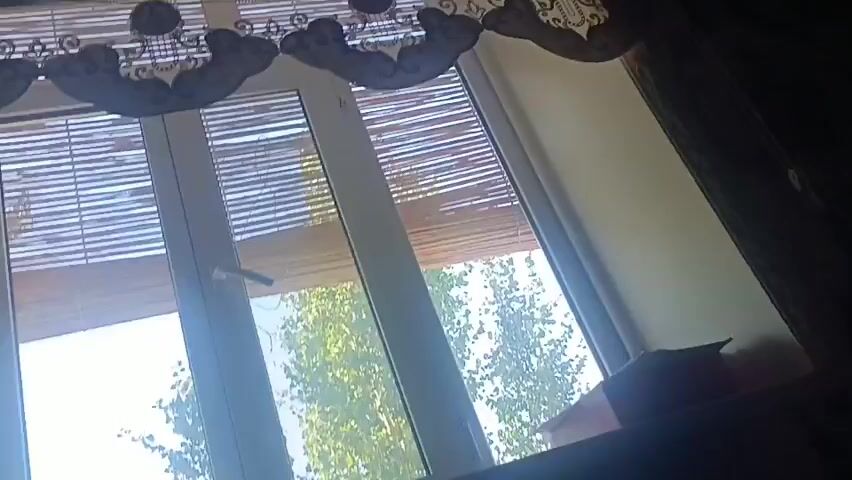 A slightly shaky, low-angle point-of-view video shows a view through a window. The window is divided into three vertical panes and has a white frame. Horizontal blinds, made of light-colored material, are partially lowered over the top portion of the panes, obscuring some of the view outside. The window overlooks a bright, sunny day with lush green trees visible through the glass. Sunlight streams in, creating glare and making it difficult to see details clearly. A dark brown or black object, possibly a box or cushion, sits on the windowsill to the right. The overall environment appears to be indoors, looking out.