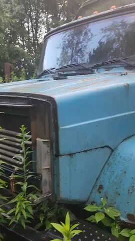 The video displays a close-up, panning shot of a blue, weathered truck partially obscured by dense green foliage. The truck appears abandoned, with visible rust and signs of disrepair. The camera focuses on the front fender, hood, and cab of the truck, with glimpses of the windshield and side mirror. The surrounding environment is overgrown with weeds and leaves, suggesting a natural setting where the vehicle has been left for an extended period. The lighting is dim, possibly indicating an overcast day or a shaded location. No people or any actions are depicted in the video.