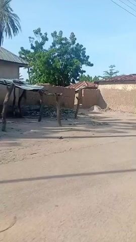 The video captures a daytime scene in a rural or semi-rural area. The ground is dusty and unpaved. There are several buildings with mud or concrete walls and corrugated metal or tiled roofs. Vegetation, including trees and bushes, is visible. The sky is clear and blue.

In the first few seconds, the camera pans across a street with buildings and a large tree.
From 00:01 to 00:02, two individuals, one wearing white attire and a cap, the other in similar clothing, walk away from the camera down the street. A lamppost is also visible.
From 00:02 to 00:03, the camera continues to move, showing more buildings and a utility pole with wires. A person is seen walking away from the camera on the left side of the frame.
From 00:03 to 00:04, the camera pans towards a group of people gathered near a wall and a building. Another lamppost is in the foreground.
From 00:04 onwards, the video shows a wider view of the area with more buildings, trees, and several people standing around. Some are near a building with a white roof. A lamppost with a solar panel is visible. In the foreground, the back of a person wearing a red shirt and a black baseball cap is seen, likely operating a vehicle such as a motorcycle or scooter, as evidenced by the handlebars. The scene appears to be a village or a small town.