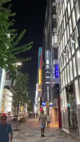 At night, the camera focuses on the illuminated signage of buildings in what appears to be a city street in Japan. The signs are in Japanese and English, advertising various businesses such as "Exit Melsa," "Ginza Daikokuya," "Rinkan," and other shops. A tree partially obscures the view on the left side of the frame. The camera angle is slightly tilted upwards, emphasizing the height of the buildings. The lighting is bright from the signs, contrasting with the dark night sky.
