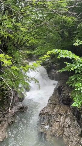 A vertical video shows a narrow, rocky gorge with a fast-flowing stream and a small waterfall. Lush green foliage, including trees and branches with leaves, overhangs the gorge on both sides, creating a canopy. The water is churning white as it cascades over rocks, and the surrounding rocks are dark and wet. The overall impression is one of a wild and natural environment. The video is silent.