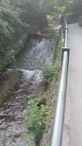 This media file captures a serene, natural scene in Baden, Austria. The central subject is a small, cascading waterfall within a narrow, man-made channel, likely an urban stream or a water feature. The water flows briskly over stone steps, creating white foam and ripples.

The setting is lush and green, with dense foliage overhanging the channel from both sides. On the right side of the stream, a stone wall borders a paved pathway, which is equipped with a metal railing. The pathway appears to be a pedestrian walkway, suggesting a park or a well-maintained recreational area. Small red flowers are visible growing along the edge of the stone wall near the water. The overall impression is one of tranquility and natural beauty integrated into a developed area.

There are no people visible in the media file. The activity is simply the natural flow of water creating a gentle waterfall. The time of day appears to be daytime, given the ambient light, and the weather seems pleasant, with clear visibility and lush greenery. The location cues (Baden, Austria, provided in the prompt) help to contextualize the scene as a European natural or park setting. The emotions evoked are primarily peacefulness and a sense of calm.

No visible text is present in the media file.