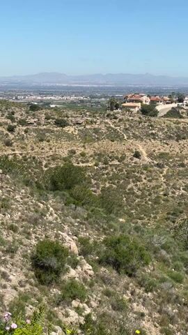 A high-angle, eye-level perspective pans across a hilly, arid landscape under a clear blue sky. In the distance, a sprawling town with numerous buildings and a golf course is visible, framed by distant mountains along the horizon. The foreground features dry, rocky terrain covered with sparse, low-lying vegetation, mostly green bushes and brown scrub. Occasional yellow flowers dot the landscape. The camera slowly rotates, revealing more of the town and the surrounding area. The overall impression is of a dry, sunny climate with a panoramic view of a built-up area from an elevated vantage point.