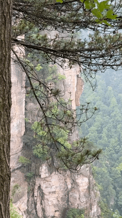 Tourists explore scenic mountain pathways in Luoguta, China
