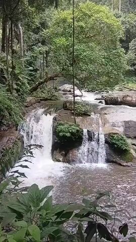 The video shows a waterfall cascading over rocks in a lush green forest. The water is a milky white and the surrounding rocks are covered in moss and vegetation. Tall trees with dense foliage line the banks of the river. There is no visible sign of human presence or activity. The overall atmosphere is serene and natural.