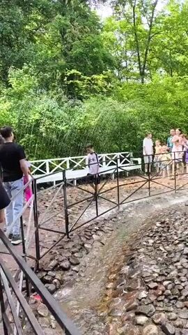 This is a short video clip, likely captured on a smartphone, showing a vibrant outdoor scene in Peterhof, Russia. The primary subjects are a diverse group of people, including adults and children, interacting within a lush, green park setting. The foreground is dominated by a shallow stream or water feature, lined with stones of various sizes. A black metal railing and a white wooden fence create a pathway or bridge over the water, separating the viewers from the stream and guiding the movement of the people.

The people are dressed in casual summer clothing, suggesting a warm, pleasant day. Some are walking along the path, while others appear to be observing or participating in an activity related to the water features. There are several decorative elements visible, including artificial plants resembling corn stalks with attached yellow buckets, and stylized flower sculptures, one red and one yellow, that appear to be part of a water fountain system, with water spouting from them. Behind the pathway, a dense backdrop of tall green trees creates a natural, serene environment, suggesting it's likely daytime, with bright, diffused light indicating either morning or afternoon.

The overall mood seems lighthearted and recreational. The presence of children and the playful nature of the water features imply a family-friendly or tourist attraction. The scene is characteristic of a park or garden, possibly a well-known landmark given the "Peterhof, Russia" context. There is no visible text in the clip.