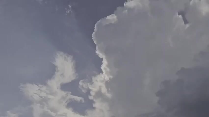The video shows a dynamic sky with various cloud formations. On the right side of the frame, large, fluffy cumulus clouds dominate the scene, appearing bright white where illuminated by sunlight and darker grey in their shadowed areas. The edge of these clouds forms a distinct, rounded contour against the sky. To the left, thinner, wispy cirrus clouds stretch across a paler blue sky, creating a contrasting texture. In the upper right portion of the frame, a small dark object, possibly a bird or insect, is briefly visible against the clouds. The overall lighting suggests daylight, with the sun likely positioned out of frame. The camera angle is looking upwards towards the sky.
