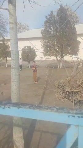 The video shows a dirt courtyard with a one-story beige building in the background. There are several small, trimmed evergreen trees in the courtyard. A child wearing a jersey with the number "19" walks across the courtyard, toward the building. A red object is on the ground to the right of the child. The video is shot through tree branches and a blue fence, partially obscuring the view.