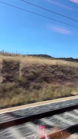 The video is captured from inside a moving train, looking out a window. The perspective is slightly blurred due to motion, giving a sense of travel. The foreground shows train tracks with ballast. The middle ground consists of dry, grassy fields, some appearing harvested, with patches of green foliage and scattered trees. In the distance, rolling hills covered in trees and vegetation form the horizon under a clear, bright blue sky. There are no people visible in the frame. The scene depicts a rural landscape passing by during daytime.