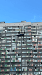 Seagulls spotted near colorful apartment building in Murino, Russia