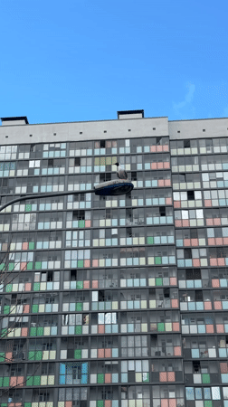 Seagulls spotted near colorful apartment building in Murino, Russia