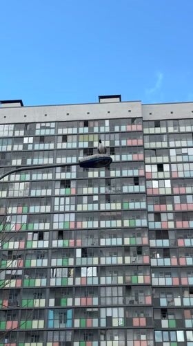 Seagulls spotted near colorful apartment building in Murino, Russia