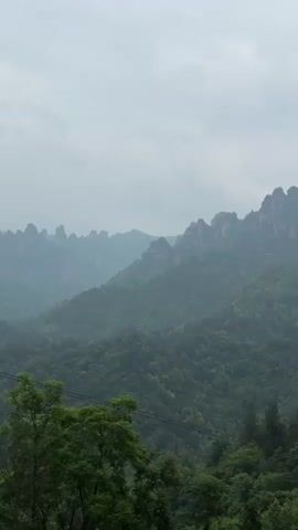 The video depicts a mountain range covered in lush green vegetation under an overcast sky. Tall, pillar-like rock formations are visible along the mountain ridges, shrouded in a light mist. The camera pans slightly, revealing more of the dense forest covering the slopes. The foreground features vibrant green foliage, including large banana leaves and other trees. The overall atmosphere is serene and natural, with a slightly hazy quality due to the weather.