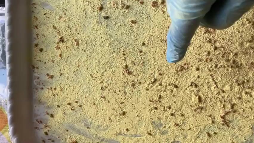 A gloved hand draws a heart in yellow dust and small brown debris on the bottom of a white tray. The tray is partially visible on the left. The gloved hand starts by drawing an arc with the finger, then completes the heart shape. Electronic music plays in the background.